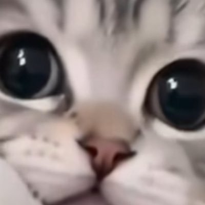 __98zxcasd's profile picture. 