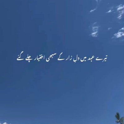 WastaadhHasa's profile picture. 