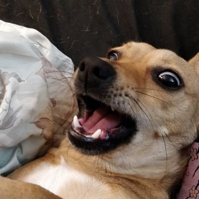 Th3Jaywalker's profile picture. 