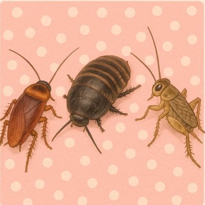 dtgdmt3's profile picture. 3つの生き餌に着目した投稿をしていきます！！