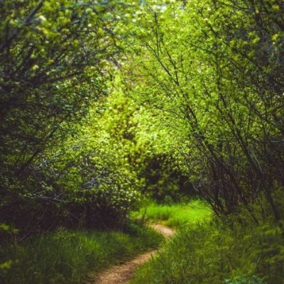 منصور الشـرعي Profile