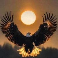 SimonPerez (@simonperez1123) 's Twitter Profile