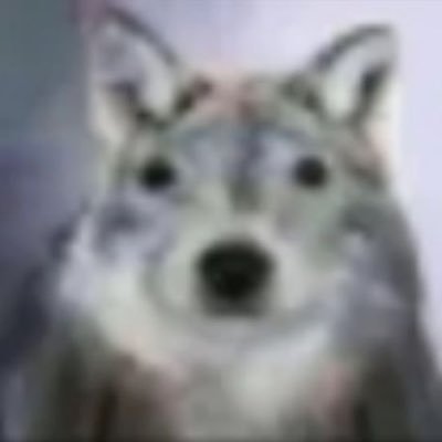 theolis69's profile picture. ׅ