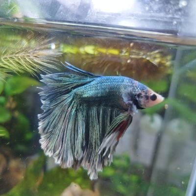 is_mk3's profile picture. 趣味のことを記録するための場所