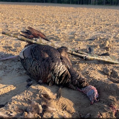 peanut_phd's profile picture. 