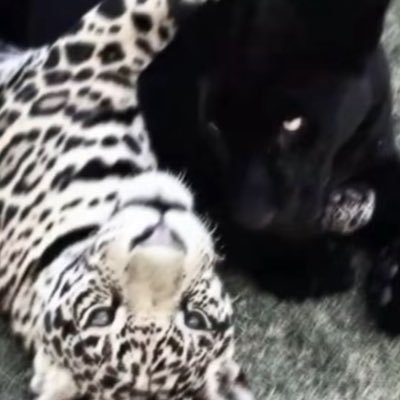 justotsfm's profile picture. the sign said repent #meandyougotnunincommon #iexistiexistiexist