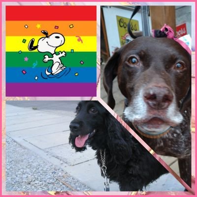 aPR2lJI7UqNvsEJ's profile picture. 会社員
一応仕事の情報収集用が

犬、音楽メインに呟きます
愛犬ベガが2018年5月15歳で ＃秘密結社老犬倶楽部天国支部  へ。今は保健所から引き出したGSPの「太陽」と暮らしてます

洋楽HR/HMとプロレス好きなバツイチ

無言フォロー歓迎❗
❤️くださるかた無言フォロー失礼致します。お気軽にどうぞ😊