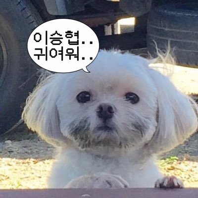 cheese1031_'s profile picture. ♡ㅣ승협, 나의 낭만 나의 로맨티스트