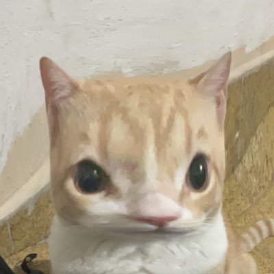 karinaさんのプロフィール画像