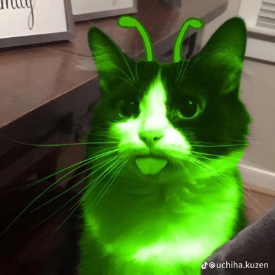 sunslowerrr's profile picture. 