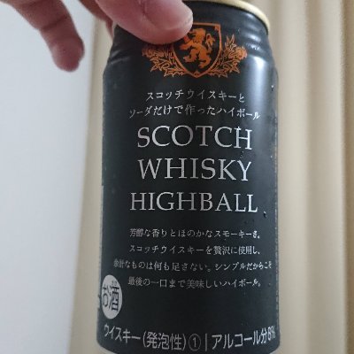 酒浸りの成人