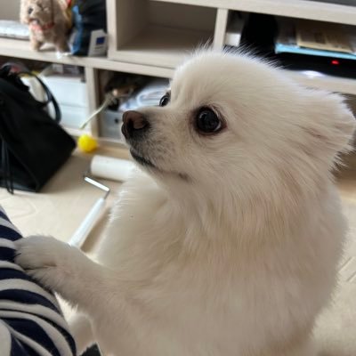 Miranoさんのプロフィール画像