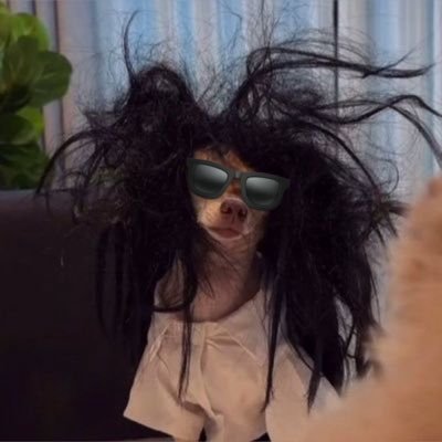 youmine_999's profile picture. 🍃-Just for you– 31/05/68🍃yoko🫧🤍