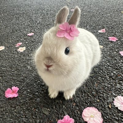 CAONM5_45ddnim's profile picture. 毎日が始まりです
人生のあらゆる瞬間に笑顔で前向きに向き合いましょう

仲良くお願いします🙇‍♀️