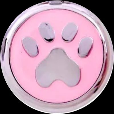 aussie e-puppy ✧・゚⊹₊ bite back 🐾 WOOF !! 🦴⊹₊ *✧ kemonomimi / inumimi ♡ mdni !!