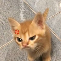 rhe (@checkoow) 's Twitter Profile