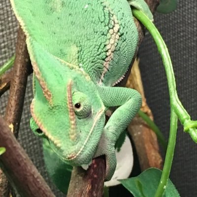 Kazuma Abeさんのプロフィール画像