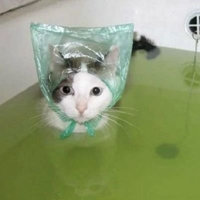 mys08228111's profile picture. 