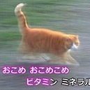 memy_Vv's profile picture. 推しさん眺める垢です 好きなものは動物と推しさん達 ROMといいね専門 たまにファンア載せるかもです…