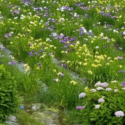 AOUB8B6ZYGmIkrv's profile picture. 170.69.4×　G　💿♨️🏞️❤️