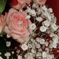 comomo@双極性II型 (@m20252000) 's Twitter Profile