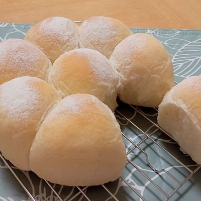 しらゆきさんのプロフィール画像