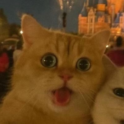 boborezhnev's profile picture. I like to play dreidel on Hanukkah.