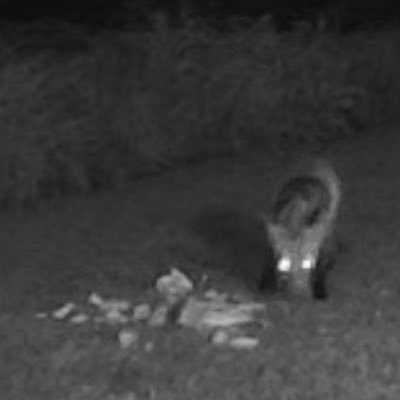 Jessero65000735's profile picture. #1 total drama fan