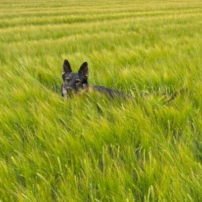 AndrejLege18's profile picture. 