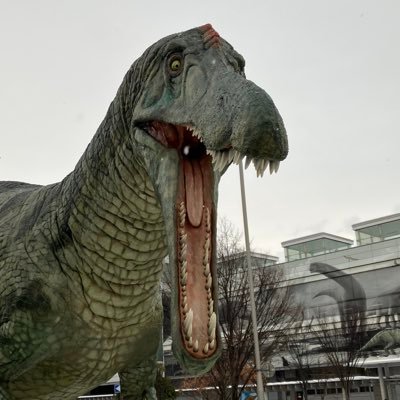 TNT145859677172's profile picture. 