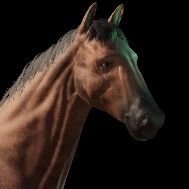 Ciwii_wiw's profile picture. 