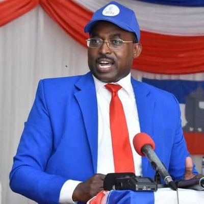 Ancien Secrétaire Permanent au Ministère de la Communication, des Technologie de l'Information et des Médias au Burundi,
Président du Parti CDP.