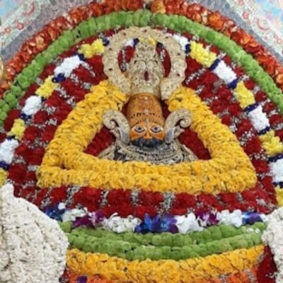 TreeIsOnlyHope's profile picture. Happy Family Green Foundation