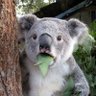 naturebeautyxx's profile picture. Nature's beauty is wild and free