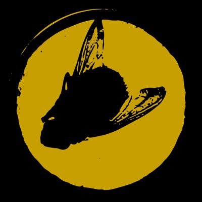 Riportiamo il cinema al cinema. In sala con DELLAMORTE DELLAMORE x L'ODIO x SUSPIRIA x PROFONDO ROSSO x CANNIBAL HOLOCAUST x LA GRANDE ABBUFFATA