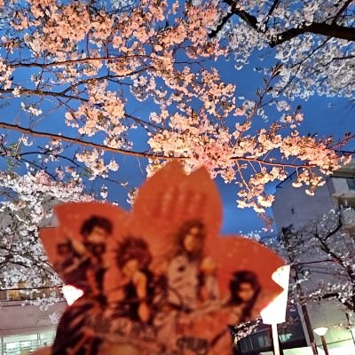 ゆーさんのプロフィール画像