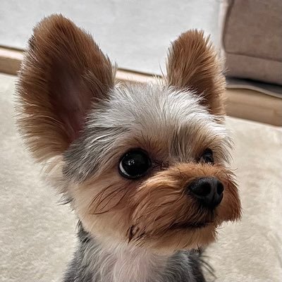 Lot4Fun's profile picture. VPoE & PjM / 機械学習 / 海洋物理