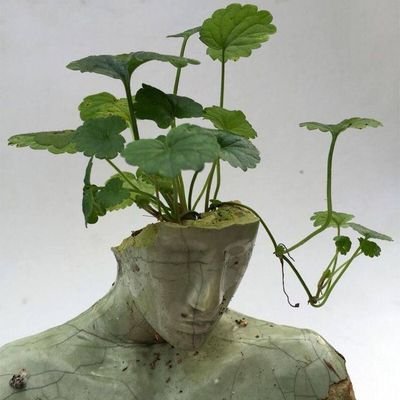 maarnii04's profile picture. ☁️