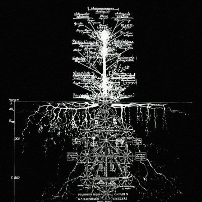 bcnonereall's profile picture. 