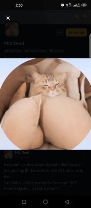Looking for educated and like minded couples for friendship and fun !
34m, 31f here