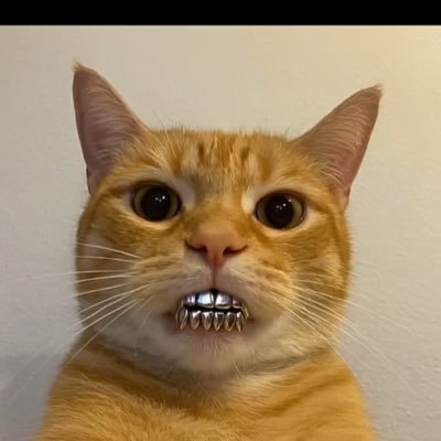 IdrissGdo's profile picture. ETERNEL ✊🏼🧠