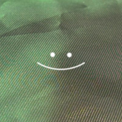 gero007_ama02's profile picture. 24ｻｲ/各夢雑多に漁って読んでます。/twst♣️🐬🏹/tnpr跡、海/OP🐊❄️🦒/enst🌙⚡️🦇