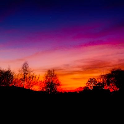 ytecaa's profile picture. 