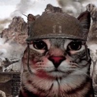 CyberOni (@cyb3ron1) 's Twitter Profile Photo CyberOni (@cyb3ron1) 's Twitter Profile Photo