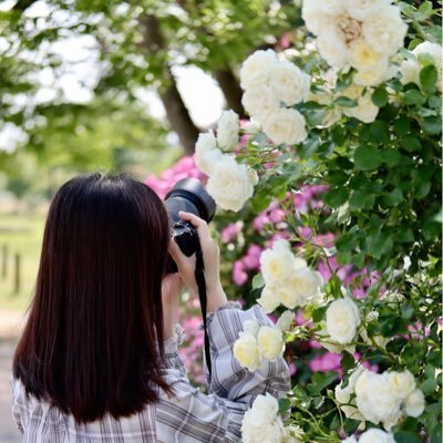 mugichan1126's profile picture. 𝚏𝚒𝚐𝚑𝚝𝚎𝚛 𝚓𝚎𝚝/𝚙𝚕𝚊𝚗𝚎/𝚏𝚕𝚘𝚠𝚎𝚛/𝚜𝚌𝚎𝚗𝚎𝚛𝚢/𝚌𝚘𝚘𝚔𝚒𝚗𝚐/𝚎𝚝𝚌.📷🔰