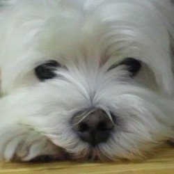 @RM7aIVAO21AKYBe