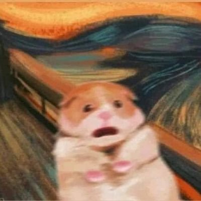 sasirurero's profile picture. 🍓 let’s try what hasn’t been done before