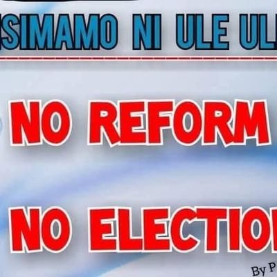 SaudaShaba6437's profile picture. 