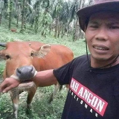 laponers's profile picture. 