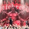 hatebreed's profile picture. Latest album Weight Of The False Self out NOW. https://t.co/UedGWCbf0R & https://t.co/xrPMO8qC0Q